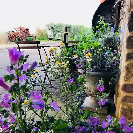 乡村民宿 Del Tio Pepe Ainzon